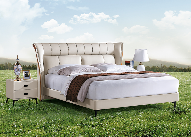 http://www.zyddjc.cn/upload/Product/202303/11987652086409a4893cbb6.png