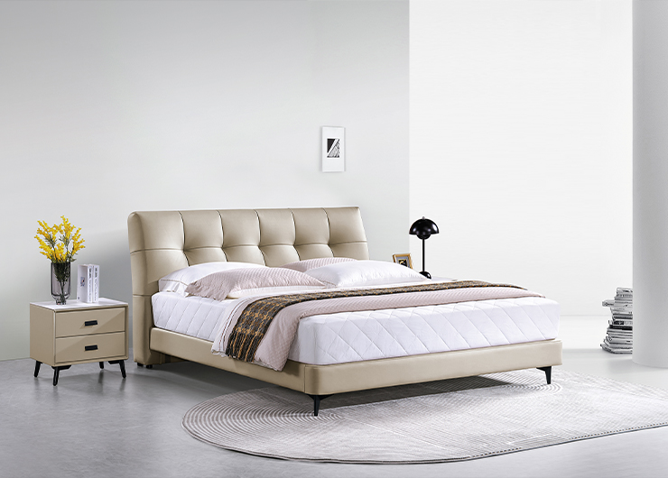 http://www.zyddjc.cn/upload/Product/202303/1238514192640e8c0deb1b0.jpg